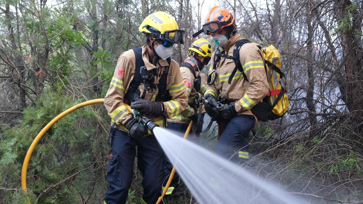 Uns bombers intenten reduir un incendi