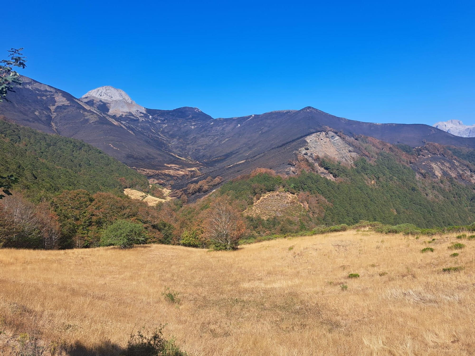 Efectos del fuego en el entorno del Parque Nacional de Picos de Europa.
