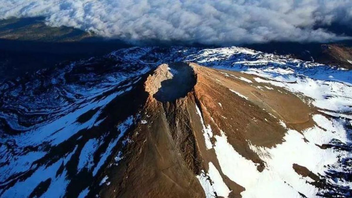 Santa Cruz de Tenerife analiza su capacidad para acoger a personas de otros municipios si hubiera una erupción en la isla