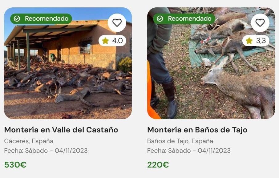 Ofertas de cacerías publicadas en Hunty