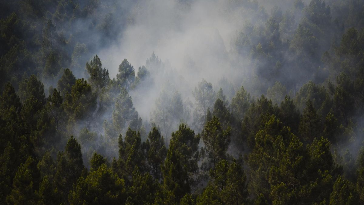 IU Guadalajara exige "responsabilidades políticas" y "prevención real" tras el incendio de La Mierla