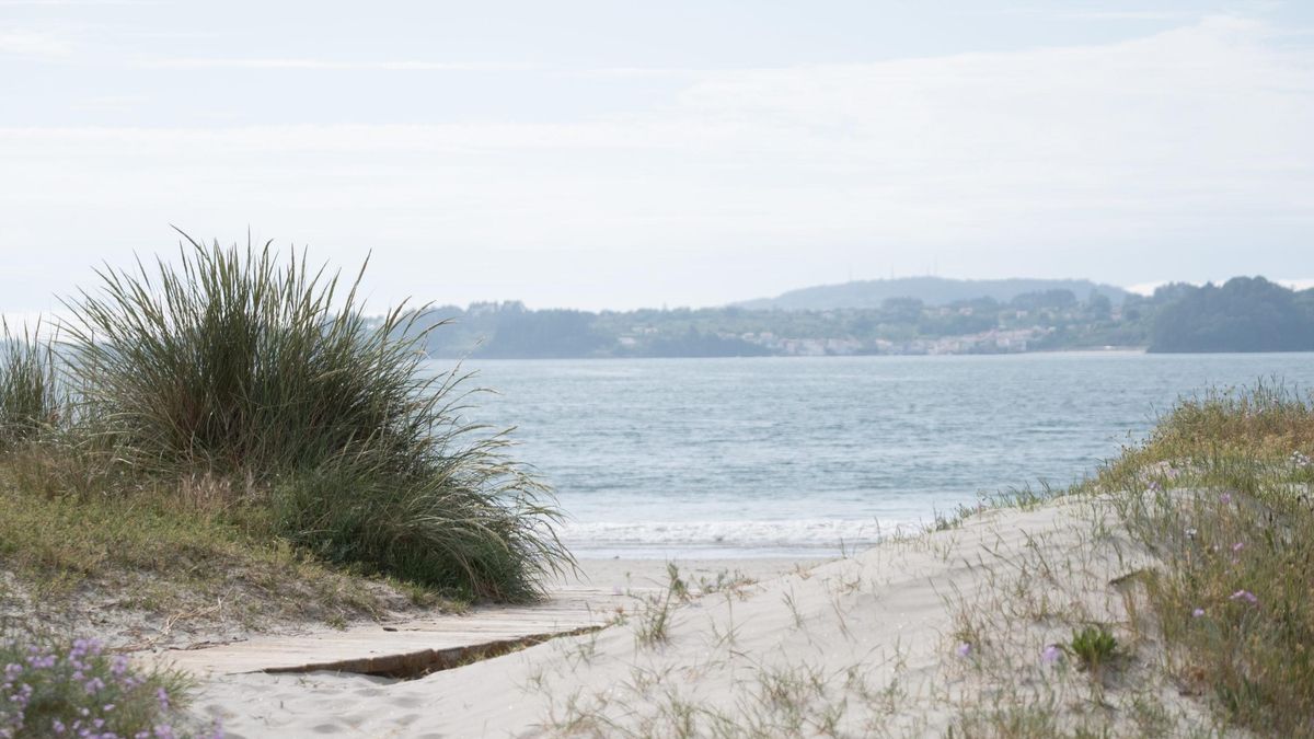Un refugio natural a media hora de A Coruña: la playa rodeada de pinares y de aguas tranquilas frente a la ría de Betanzos