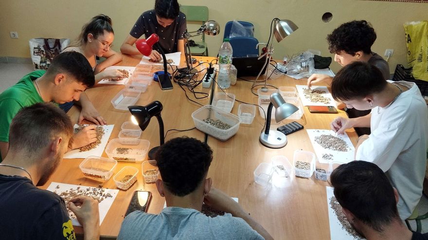 Una musaraña “muy poco conocida”, nuevo hallazgo en el yacimiento arqueológico de Castillejo del Bonete