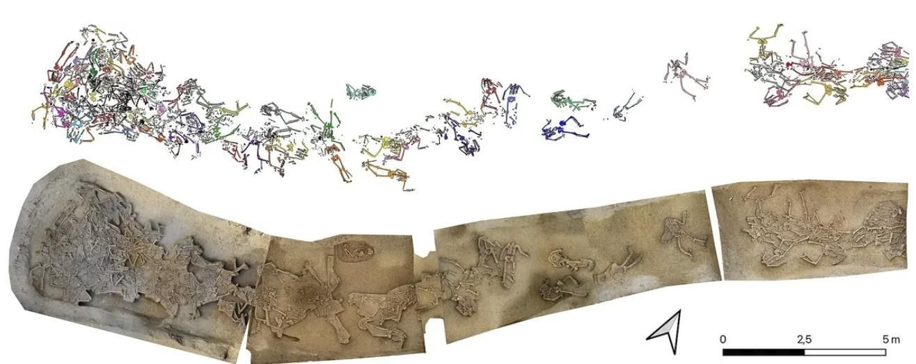 Los nuevos análisis aclararán el origen compartido