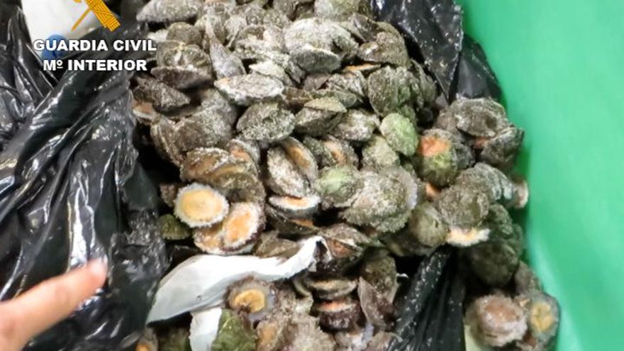 Lapas requisadas en Gran Canaria