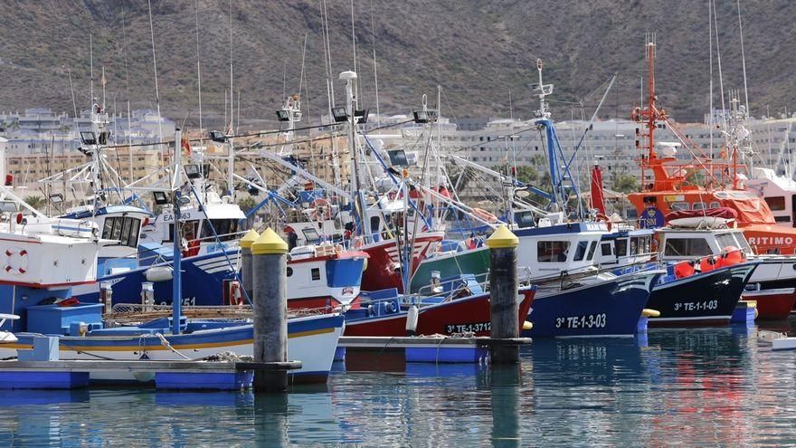 El Cabildo de Tenerife pone en marcha una ayuda para los armadores de la flota pesquera por la caída de capturas