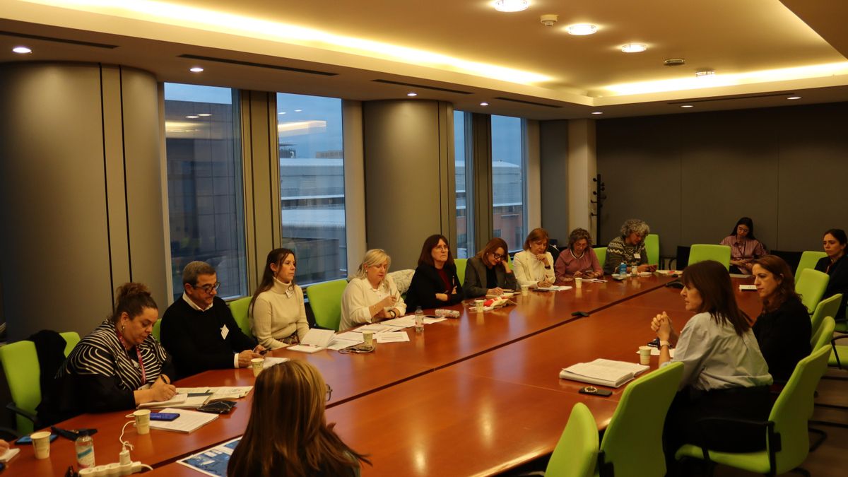 Inclusión, accesibilidad y apoyo a los más vulnerables: las propuestas que la Mesa del Tercer Sector ha llevado a Bruselas