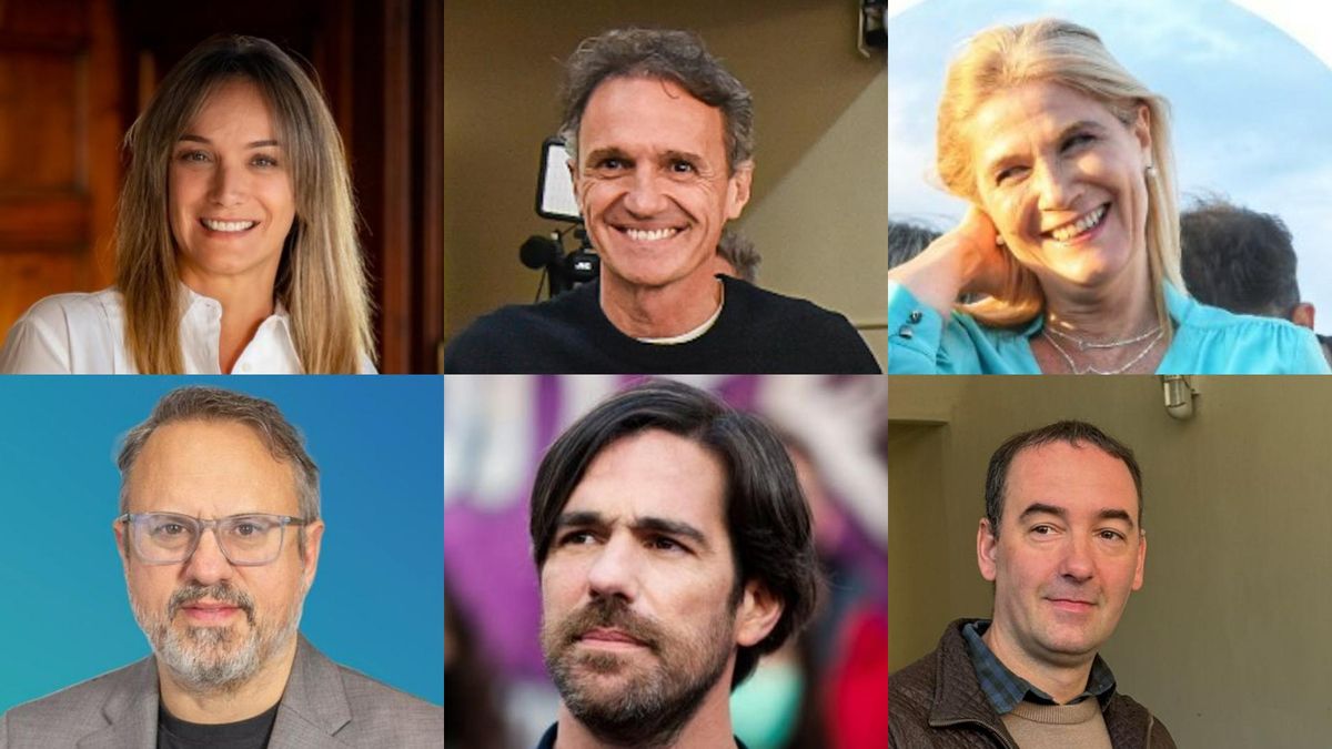 Malena Galmarini, Gabriel Katopodis, Verónica Magario, Diego Valenzuela, Nicolás del Caño y Francisco Adorni, algunos de los candidatos que obtuvieron una banca en el Congreso bonaerense.