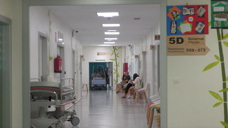 Los nueve menores y la mujer de Gaza ya reciben asistencia médica en Euskadi y su situación clínica es estable