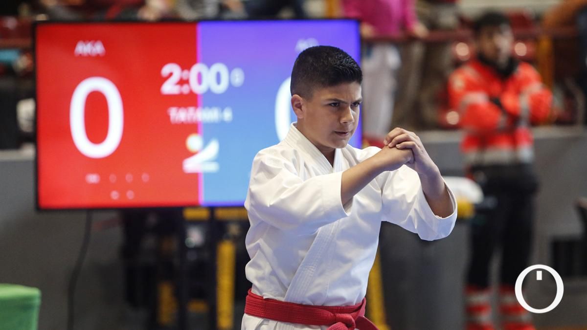 Campeonato de Andalucía Infantil y Juvenil de kárate