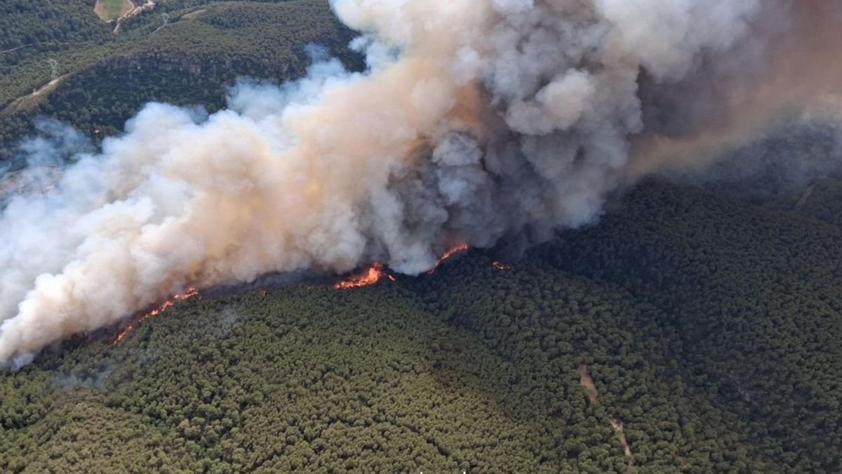 Un incendio en Aiguamúrcia (Tarragona) obliga a confinar a 2.500 personas