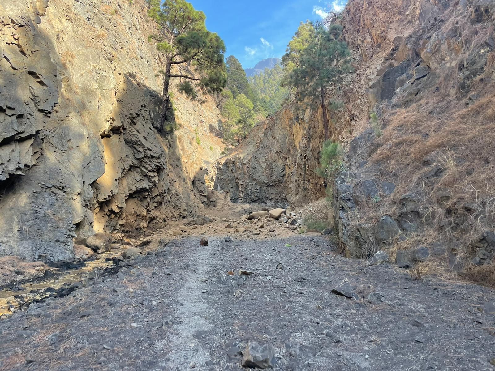Desprendimiento, este viernes, en el cauce del barranco de Las Angustias.