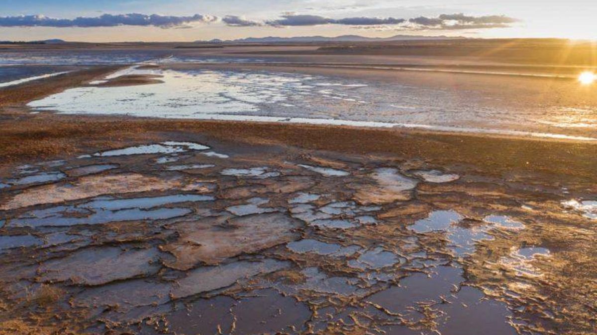 Convocado el Premio Regional de Medio Ambiente 2025 en Castilla-La Mancha
