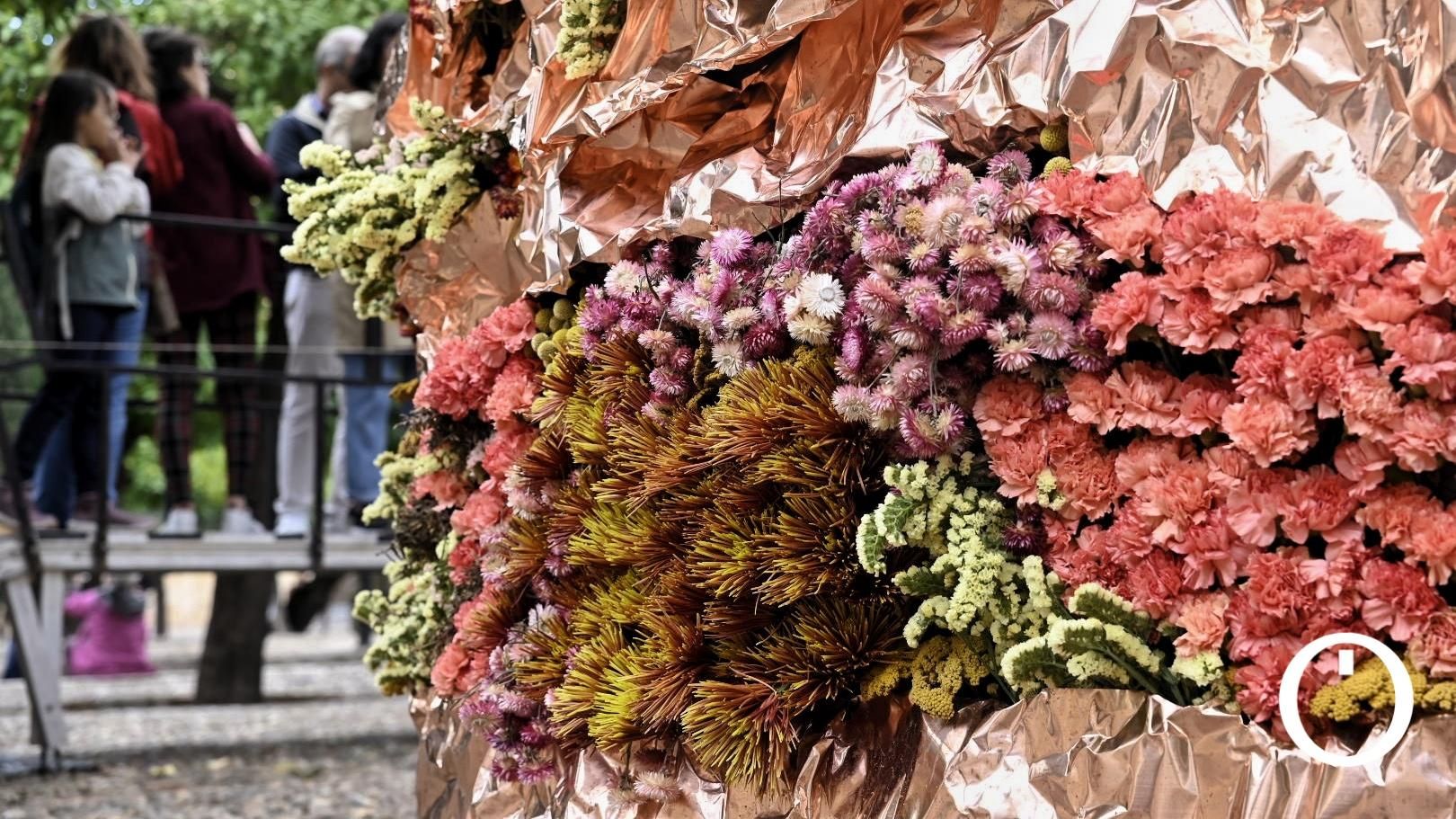 Flora 2023 - Harriet Parry