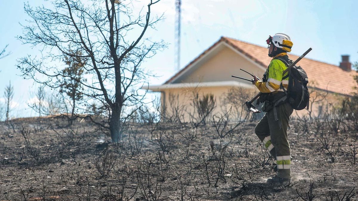 CSIF exige al Consejo Comarcal de El Bierzo que reconozca la categoría de bombero forestal a sus brigadas