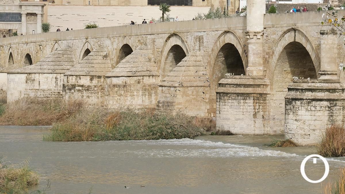 Así va el río Guadalquivir a su paso por Córdoba después de las últimas lluvias