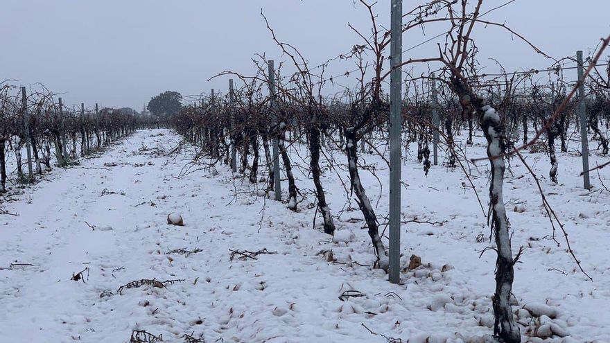 Nieve en el campo