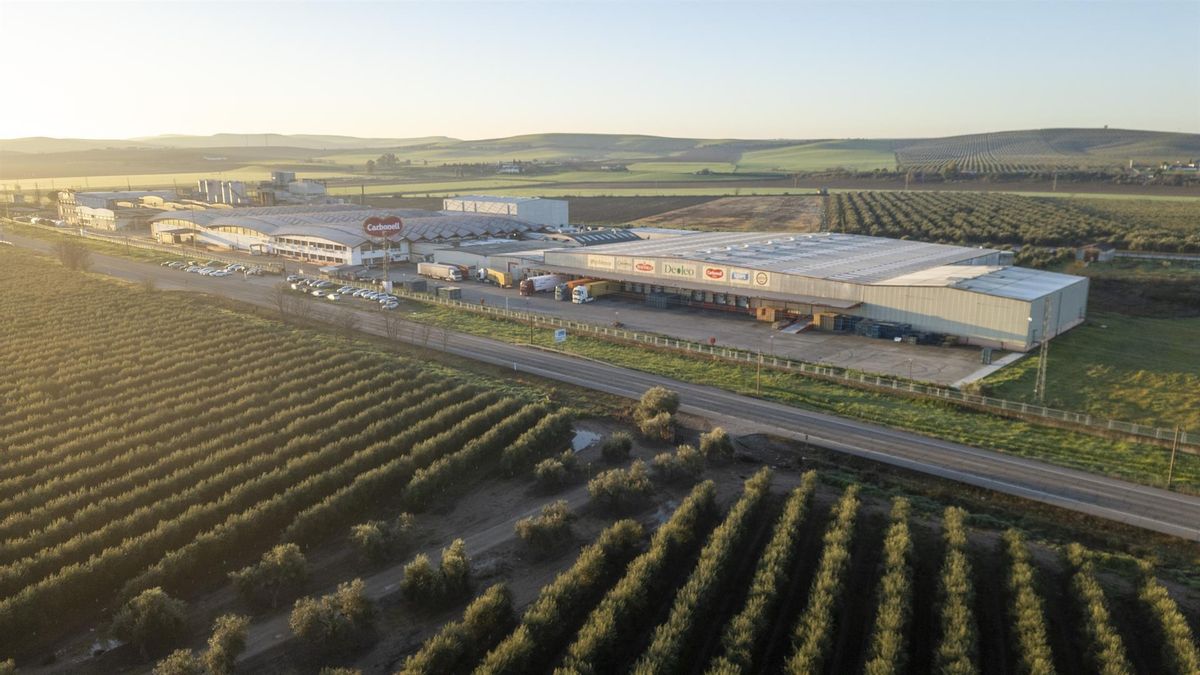 Foto de archivo de una nave de Deoleo