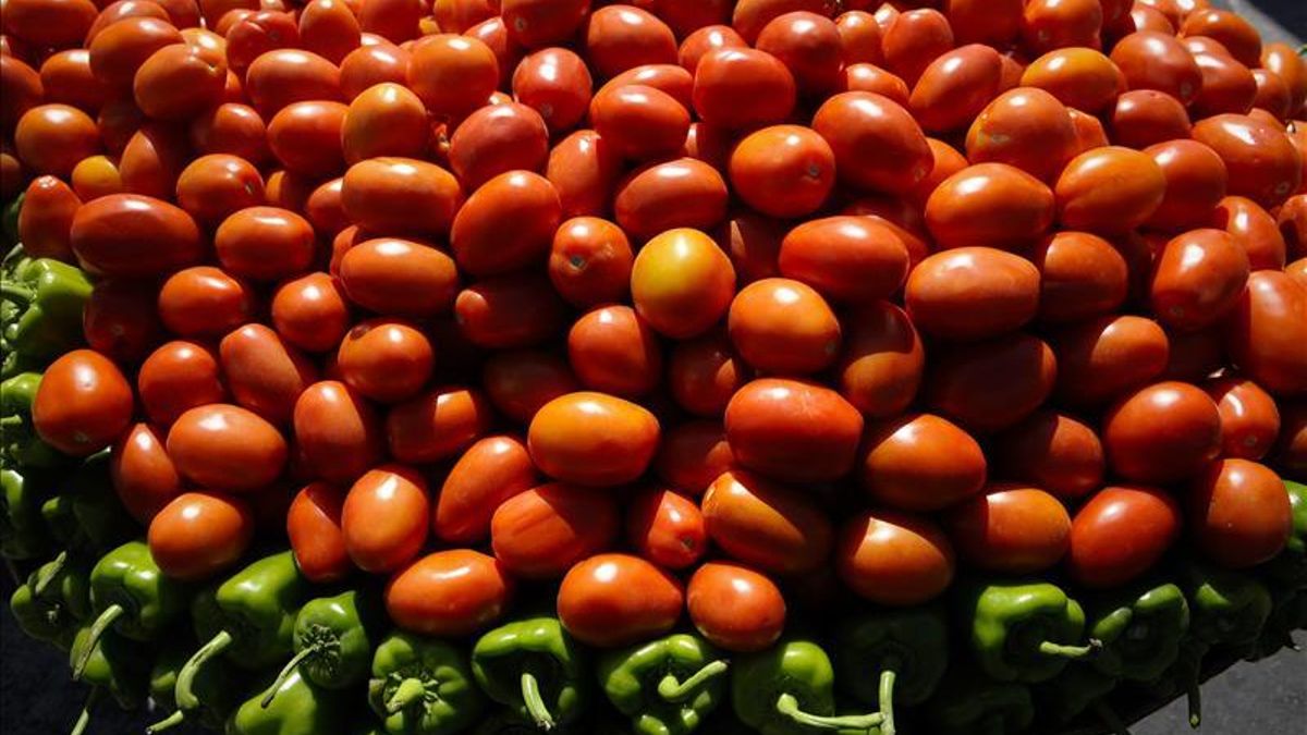 ¿Qué haríamos sin tomates?