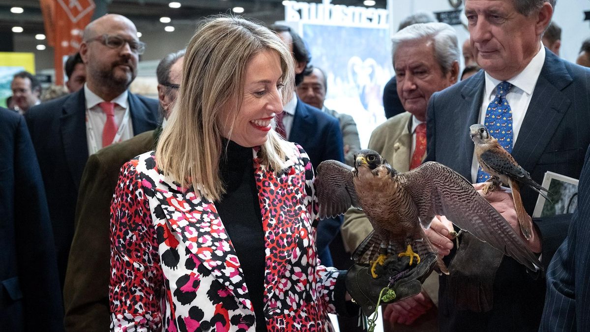 La caza gana en Monfragüe: Extremadura da luz verde a las monterías en fincas privadas del parque nacional y al uso del arco