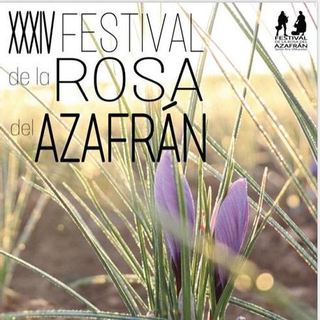 Programa Festival Rosa del Azafran Santa Ana