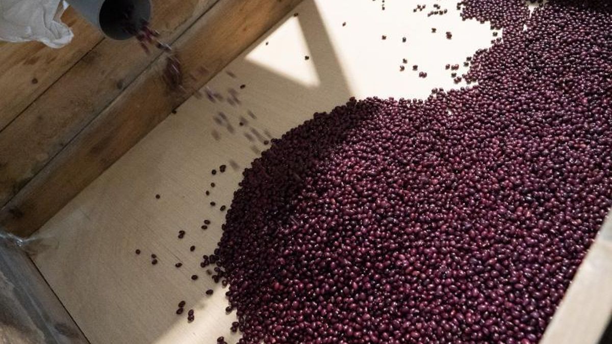 Alubia de Anguiano en La Rioja