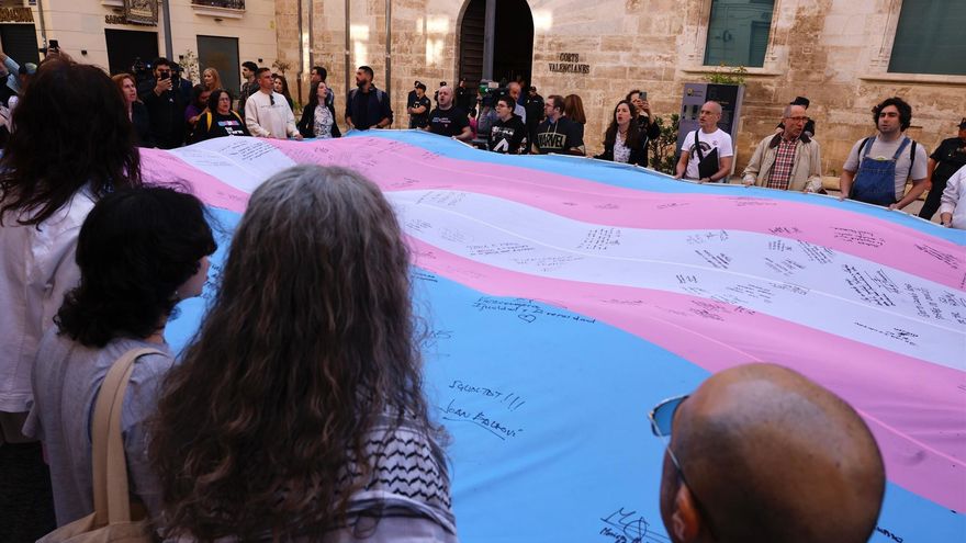 El Gobierno recurrirá ante el Tribunal Constitucional las modificaciones de PP y Vox a la ley trans valenciana