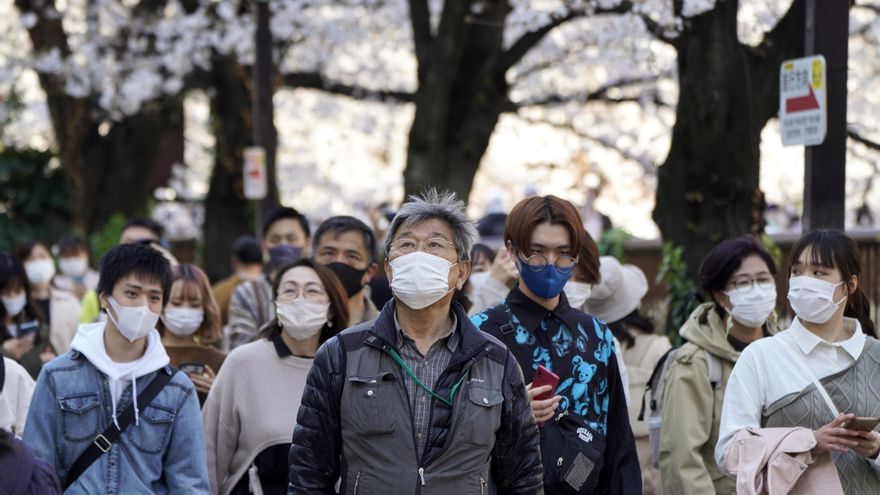 Un gruoi de ciudadanos japoneses contempla la floración de los cerezos en un parque de Tokio. EFE/EPA/KIMIMASA MAYAMA