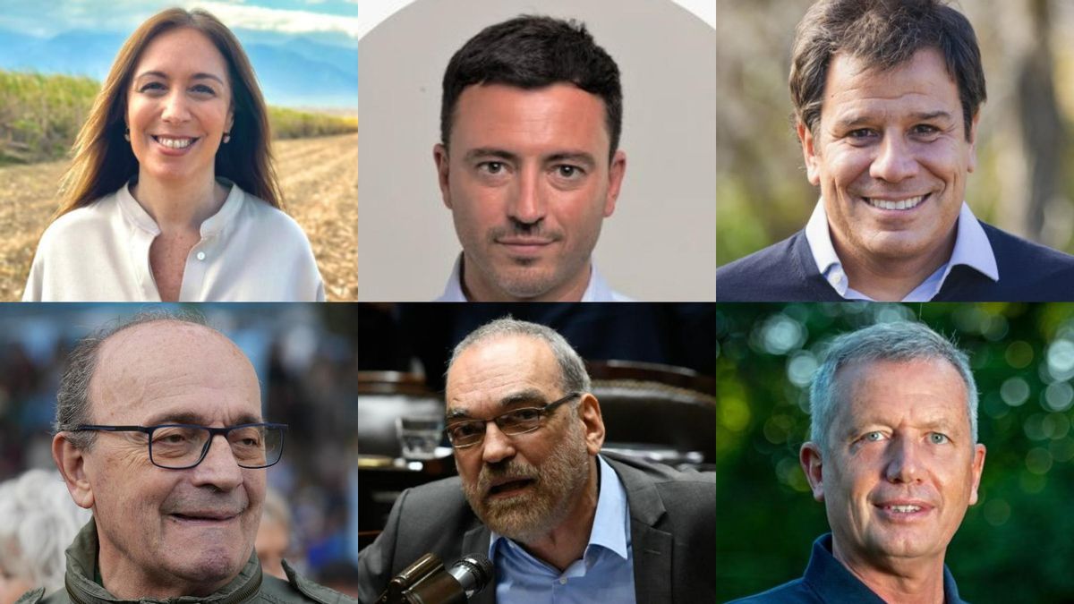 Vidal, De Loredo, Manes, Moreau, Iglesias y Monzó, algunos de los apellidos fuertes que dejan la Cámara baja.