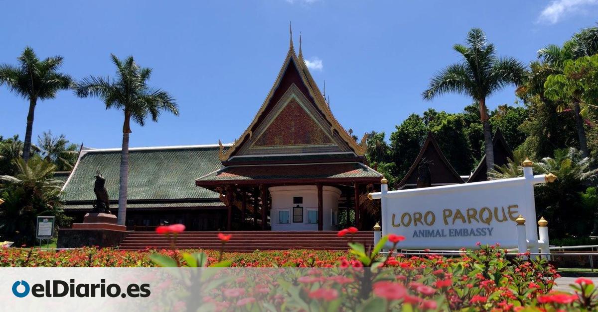 Loro Parque Fined €250,000 for Mandating Fingerprint Submission from Customers