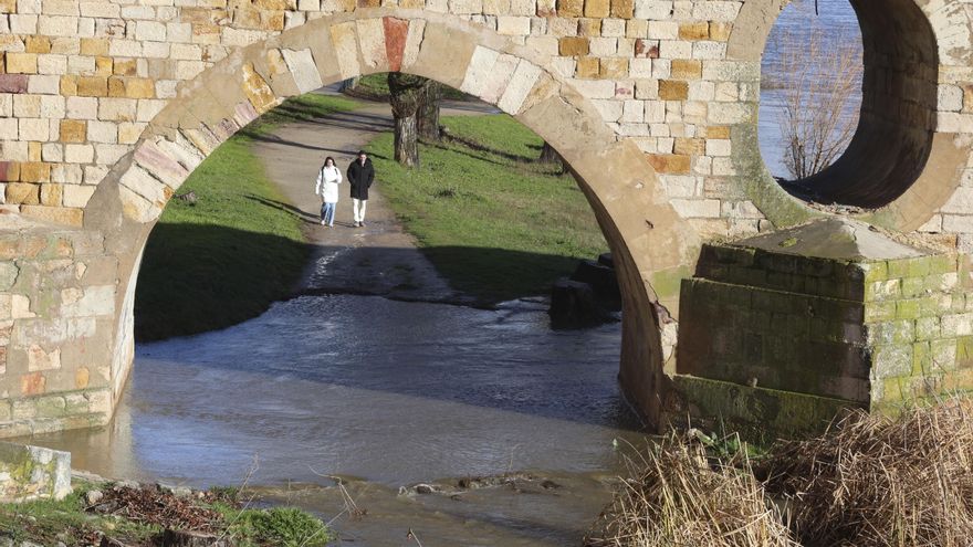 La crecida del Duero inunda paseos fluviales en Zamora y obliga a cortar los accesos