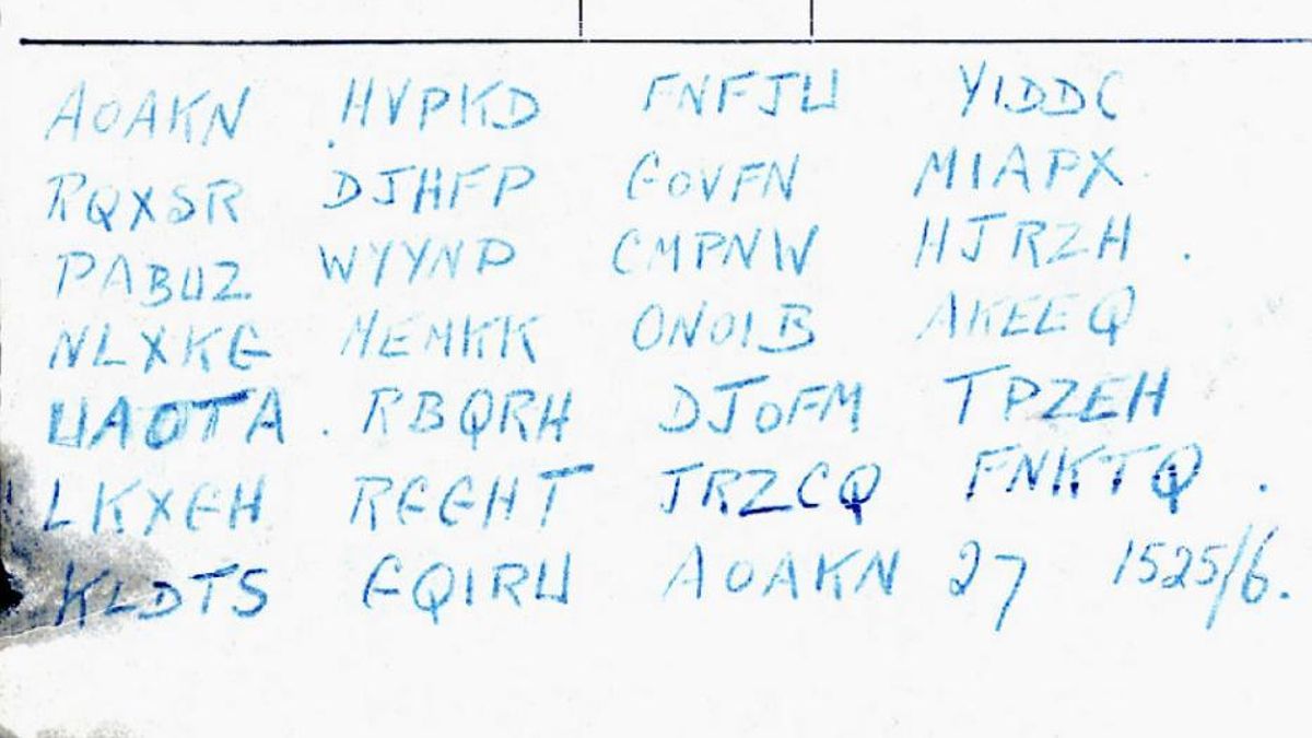Nadie ha conseguido resolver el mensaje que llevaba la paloma
