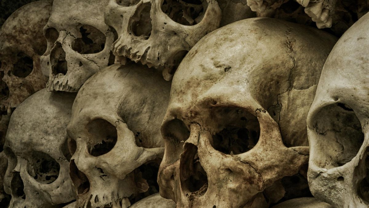 Una diadema de oro y tres dientes: el enterramiento que reescribe lo que sabíamos de la Edad del Bronce en Serbia