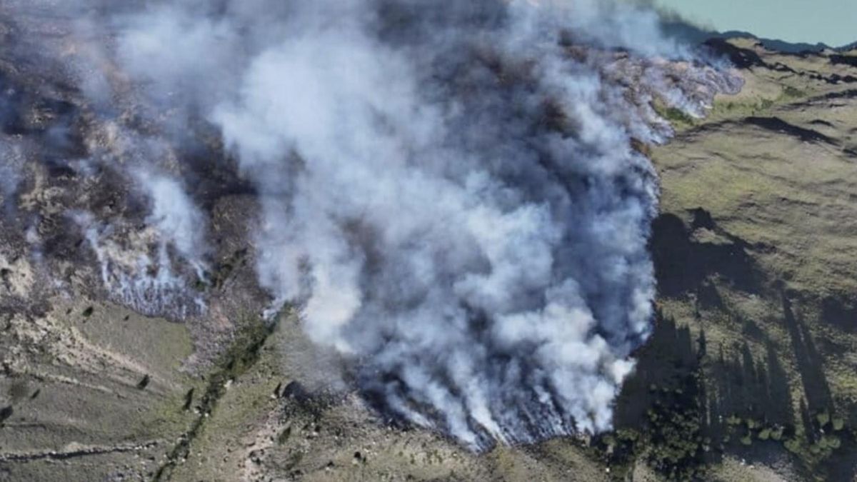 Expertos analizan cómo las decisiones de Milei agravaron los incendios en la Patagonia