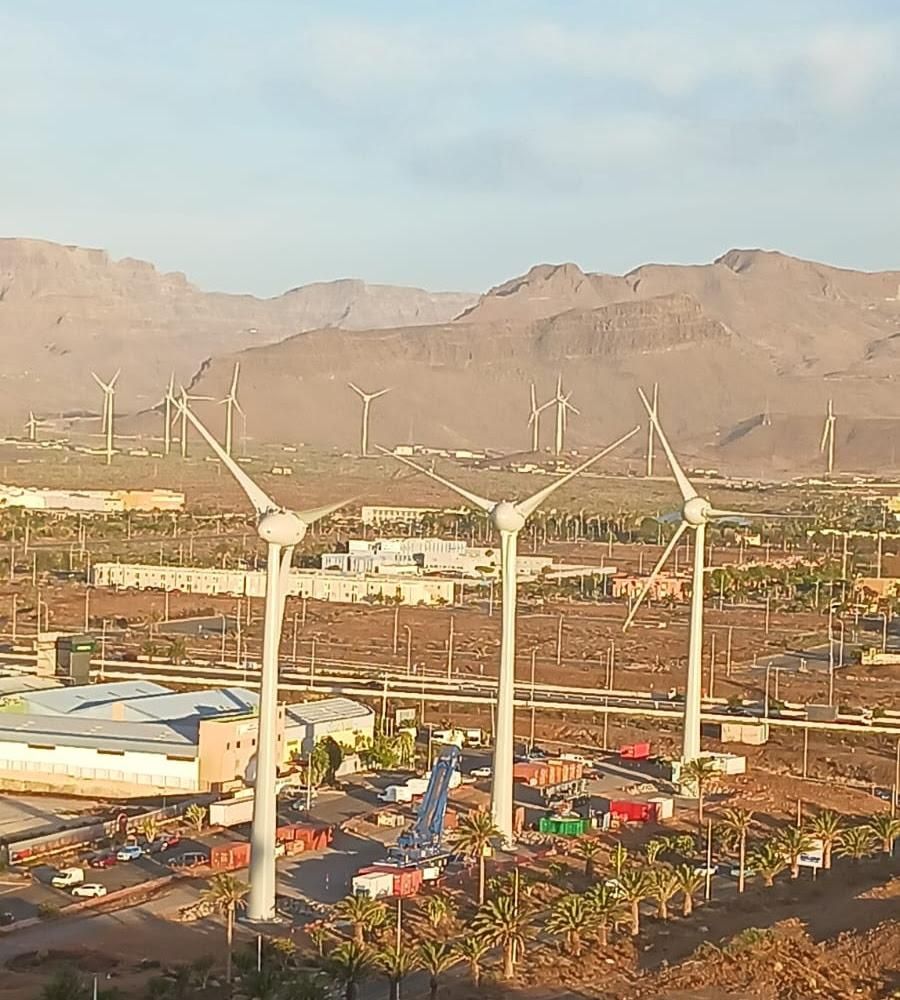 Vista panorámica de varios de los nuevos aerogeneradores de Endesa ya completamente montados en Arinaga.