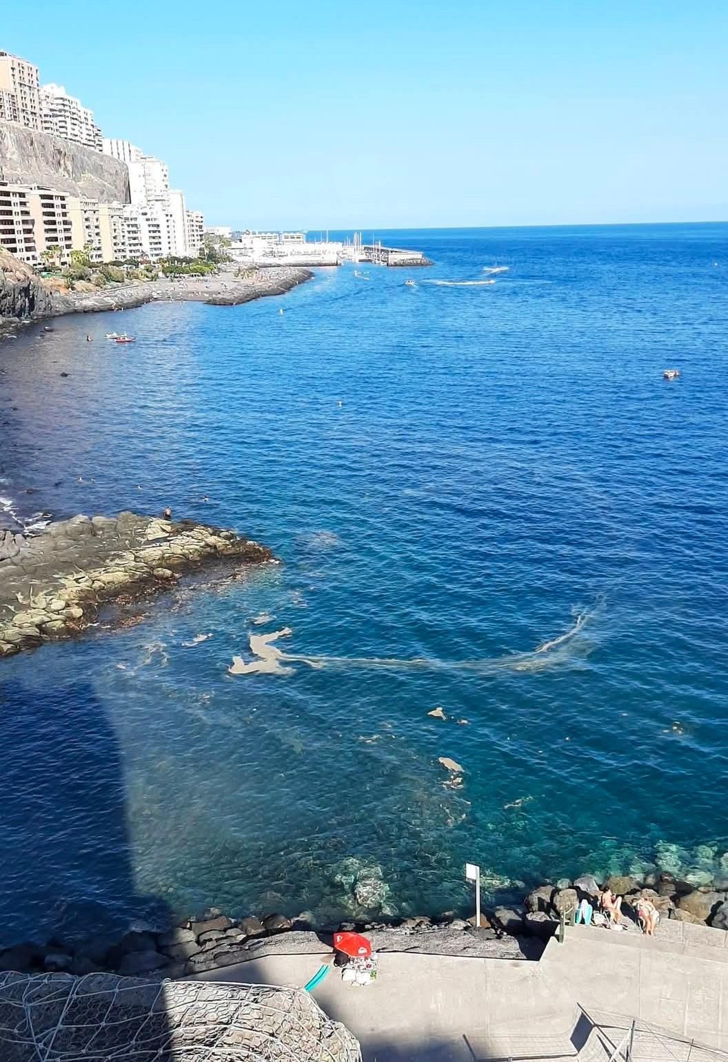 Mancha en el mar en la costa de El Rosario.