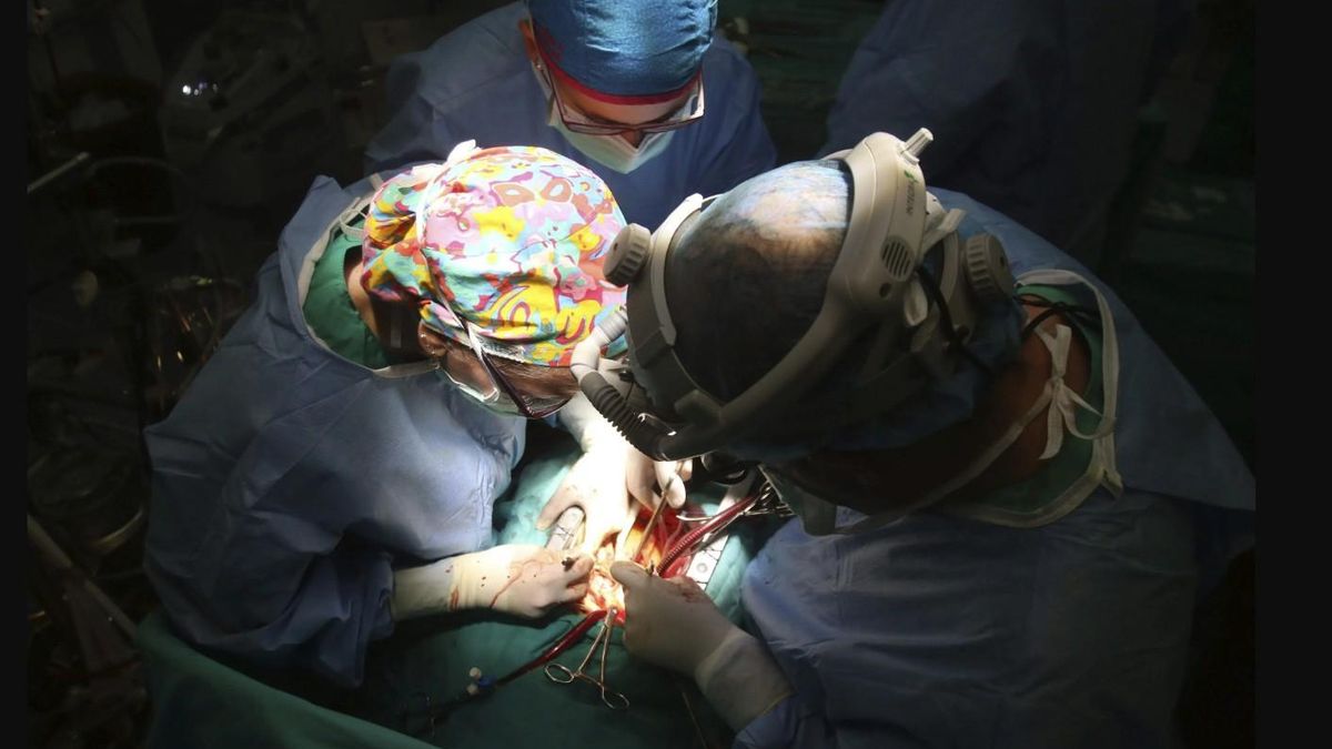 Las personas con VIH ya pueden donar órganos entre sí: "Avanzamos para salvar vidas y romper estigmas"