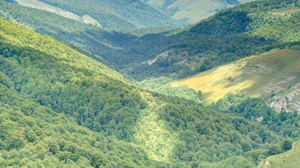 El Parque Natural Saja-Besaya es un destino perfecto para hacer excursiones y travesías de media montaña