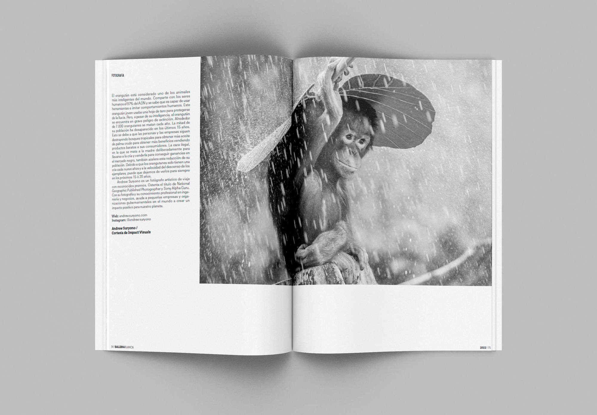 Fotos que financian la conservación de la naturaleza