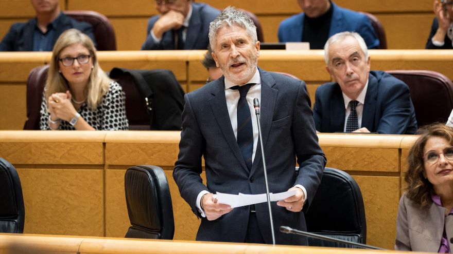 El ministro del Interior, Fernando Grande-Marlaska, durante la sesión plenaria del Senado, a 19 de noviembre de 2024, en Madrid (España).