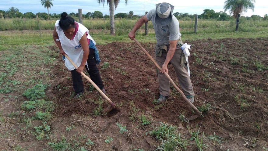 El cultivo de algodón agroecológico devuelve la esperanza a comunidades qom del Chaco