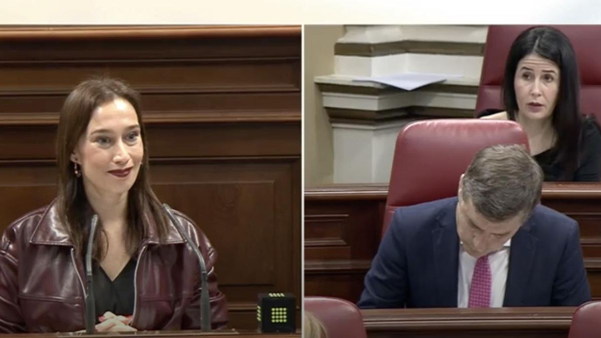 Diputado de Vox se atorra en el Parlamento canario frente a la portavoz del PSOE y provoca incluso el rechazo del PP