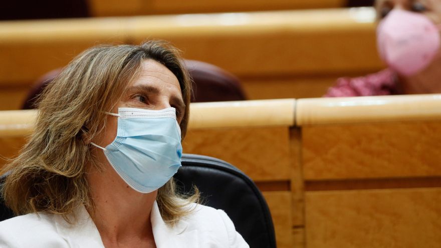 La vicepresidenta cuarta y ministra para la Transición Ecológica, Teresa Ribera. EFE/ Mariscal/Archivo