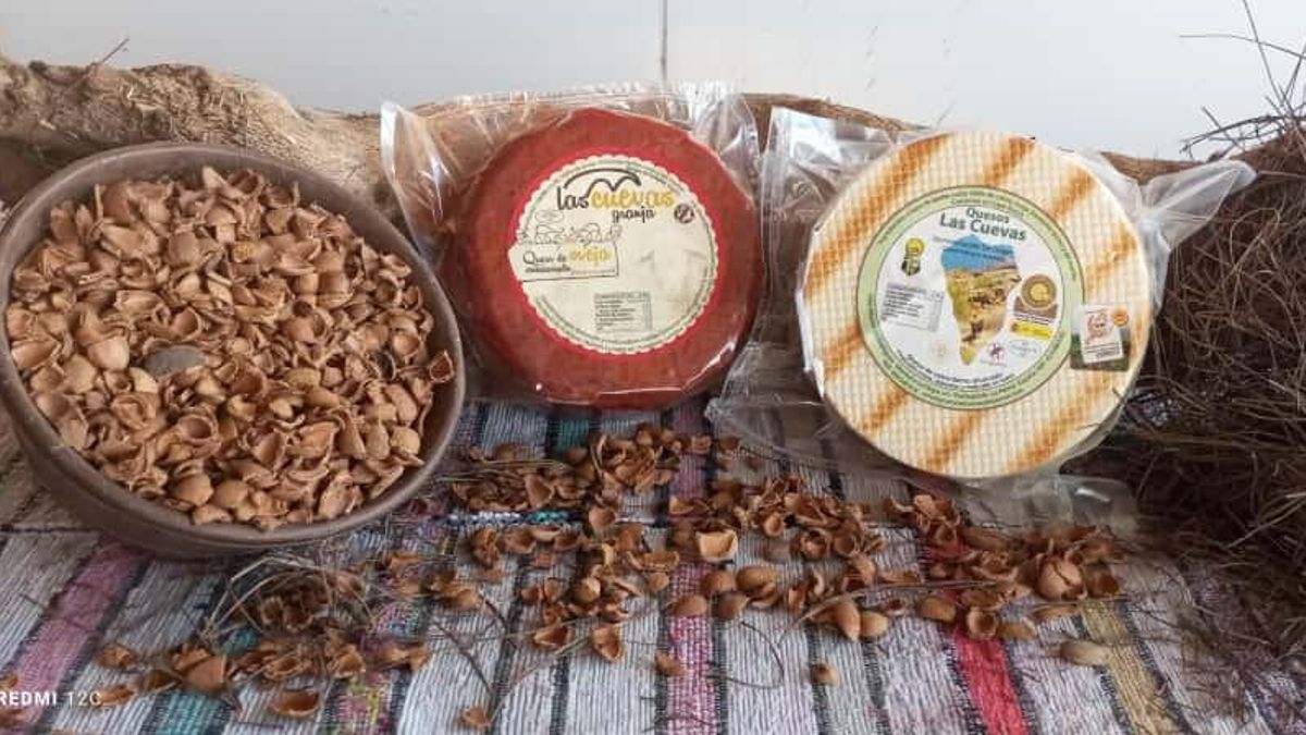 Dos quesos  de la Granja Las Cuevas (Puntagorda) han sido galardonados en la 37 edición de  los 'World Cheese Awards'  celebrada en Berna (Suiza).