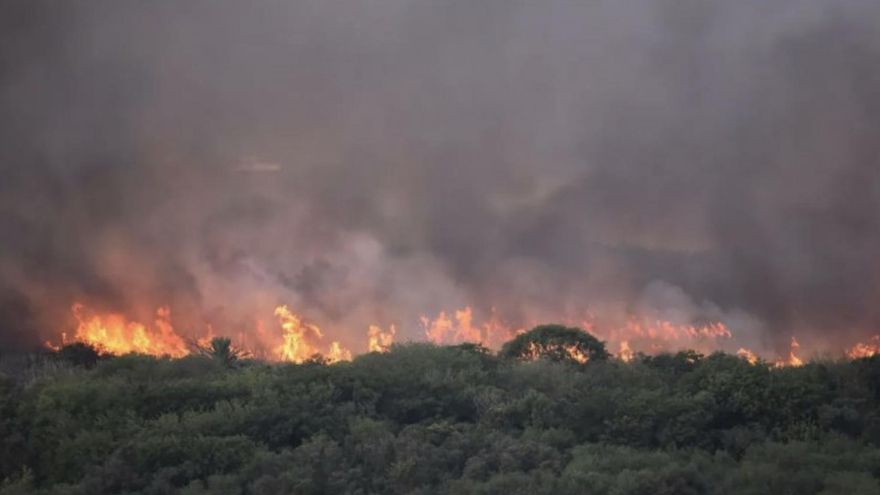 Un incendio afectó una zona de pastizales de la Reserva Ecológica