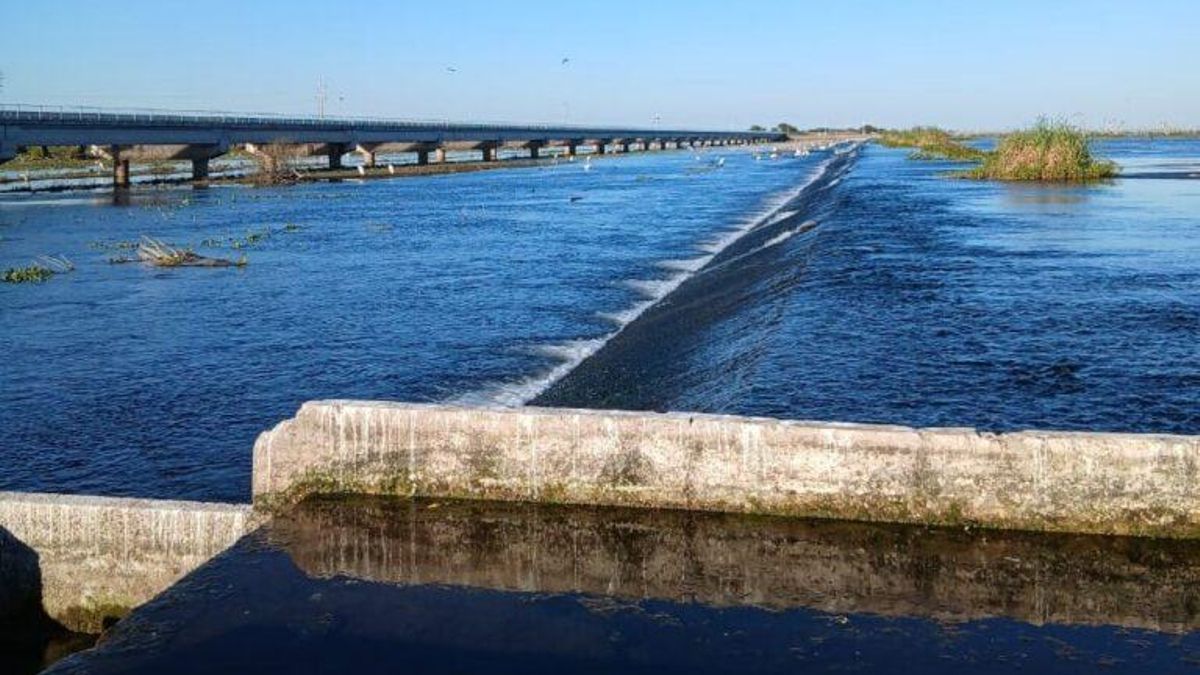 Las estructuras en el Bañado La Estrella que perjudican la migración del sábalo desde Argentina hacia Bolivia. Foto: cortesía Ludmila Pizarro