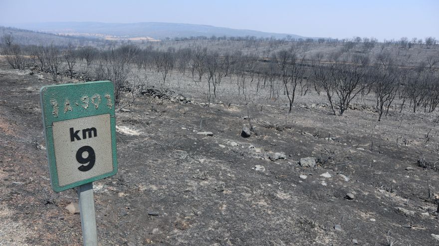 Estabilizado el incendio zamorano de Losacio y los vecinos de los pueblos desalojados vuelven a casa
