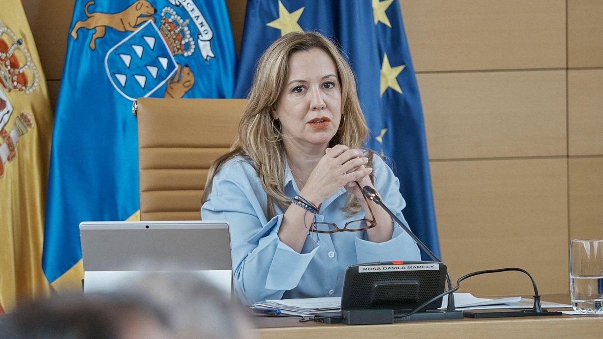Rosa Dávila defiende el uso de seguridad privada en el Teide y el PSOE le pide anular la licitación