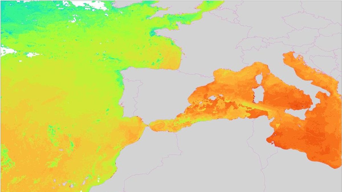 Mapa de calor marino.