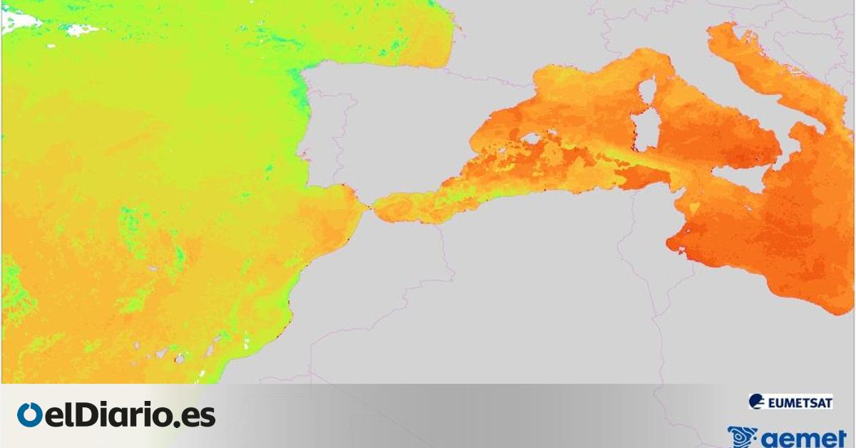 El calor que  traga  el mar hoy avisa de las danas de mañana: el Mediterráneo vive en una eterna ola de temperaturas extremas